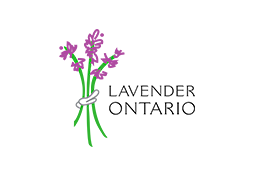 Lavender Ontario logo